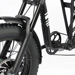 Front fork structure on DP-2008 electric bike
