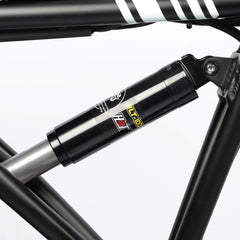Mid suspension shock absorber on DP-2008 ebike