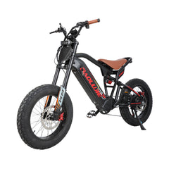 Front left angle view of black Voltvibe P2 electric bike