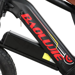 removable 48V battery on Voltvibe P2 electric bike
